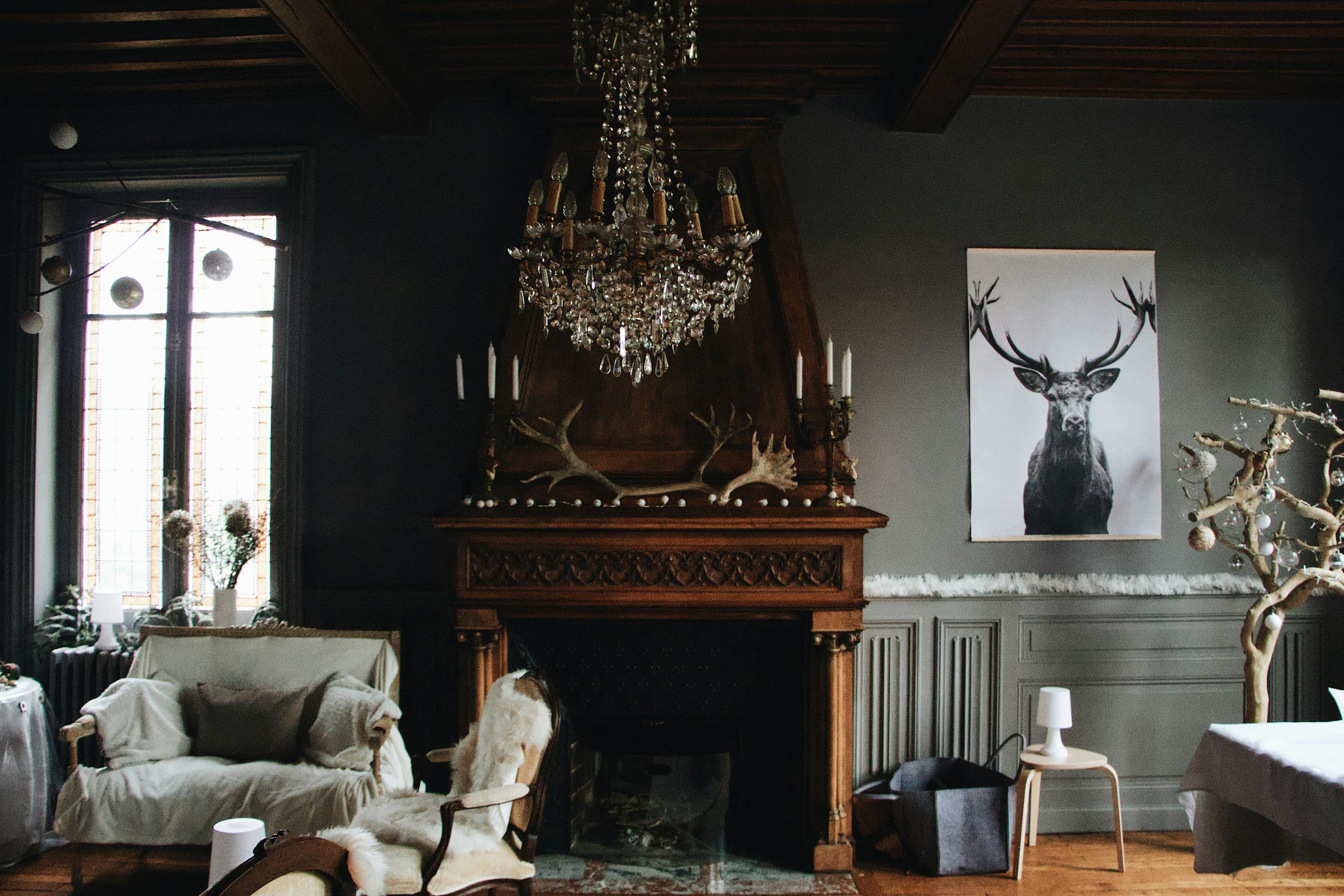 Prototipo dos A cozy living room featuring vintage decor with a chandelier, fireplace, and antlers.